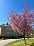 Partille Vandrarhem - parkir