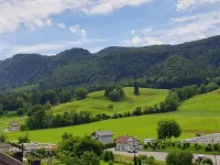 Hotel Gasthof Kreuz Hotel a Delemont