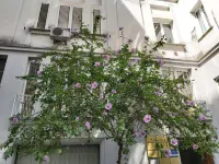 Salerno Vittoria Guest House Hotel in zona Corso Vittorio Emanuele