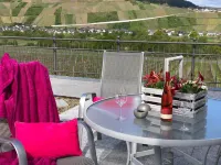Weingut Pension Bastian Hotels in Leiwen