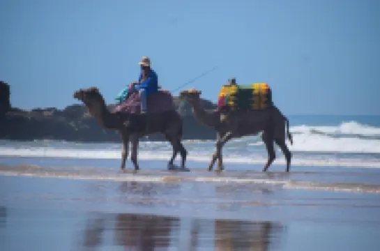 อีปิกสเวลล์เฮาส์ โรงแรมใน