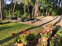 Antico Podere Il Bugnolo - breakfast