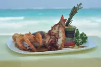 圖蘭帕拉伊索飯店