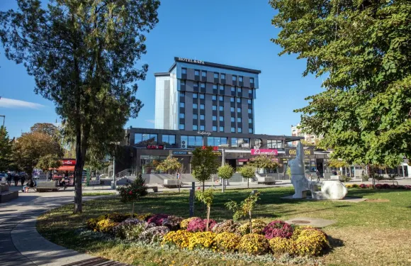 阿納豪華温泉酒店