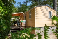 Camping du Pont d'Avignon Hotels in Villeneuve-les-Avignon