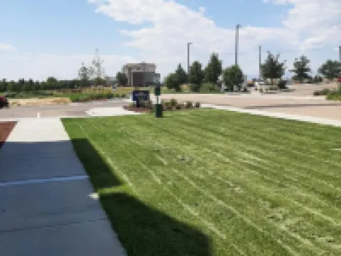 Microtel Inn & Suites by Wyndham Loveland Hotels in Larimer County