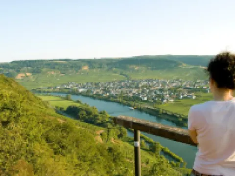 Gästehaus Alexanderhof Hoteles en Leiwen