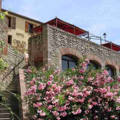 Logis Hôtel le Cara Sol Hotel Exterior