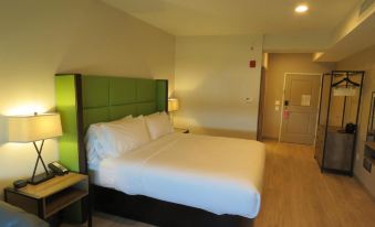 Wyndham Garden College Station
