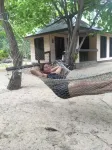 Yasawa Long Beach Hideout Resort Hôtels à : 