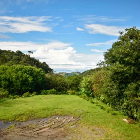 Cabinas Selva Verde