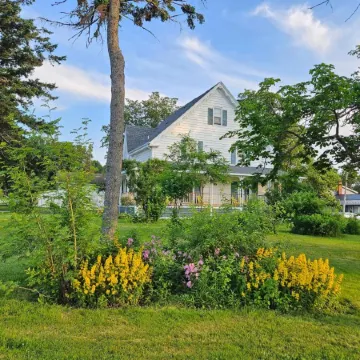 Sunflower Guest Suites