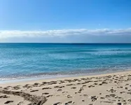 Chill Garden Experience B&B