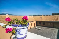 Apartamentos Turísticos la Castilleja فنادق في قرطبة