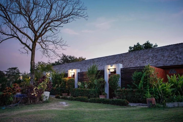 รูปภาพของเชเพียร่า