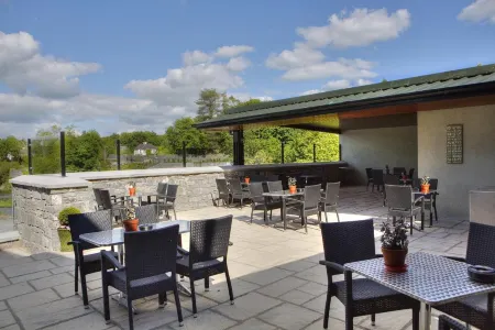 Ryan's Hotel Отели в г. Lemonfield