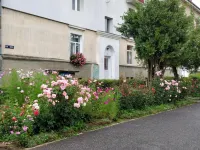 테오스 플랫 시기쇼아라 호텔