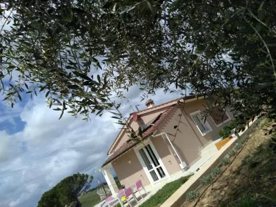 Le Mammole
