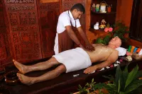 AyurSoma Ayurveda Royal Retreat - spa