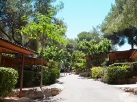 Camping Caledonia Hotels near Tamarit Beach Resort