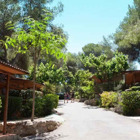 Camping Caledonia