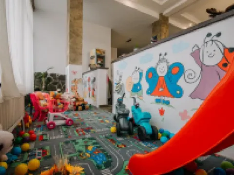 Vila Ursul Negru Hotels in Sovata