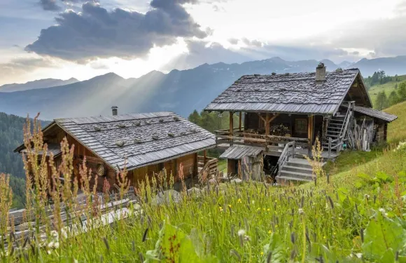 巴斯勒霍夫納圖爾住宅酒店