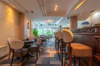 Ski Hotel - bar
