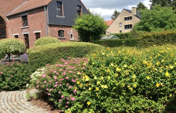 普爾薩寶忒住宿加早餐旅館