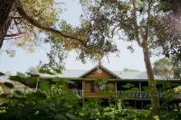 亞林加普森林度假村