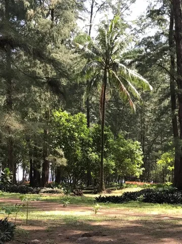 รูปภาพของโคโคนัท บังกะโล