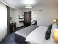 피사 호텔 베야지트 광장 주변 호텔