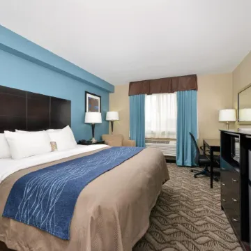 Comfort Inn & Suites Springfield I-55
