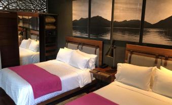 Gamma Monterrey Rincon de Santiago