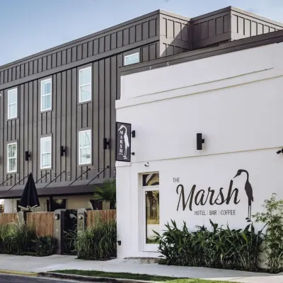 The Marsh Hotel Hotels near Audubon Park