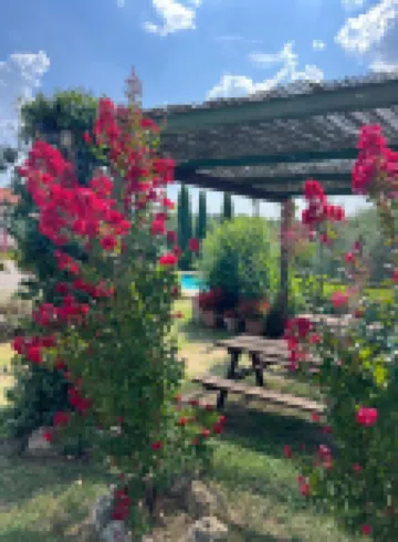 B&B Il Pettirosso di Siena
