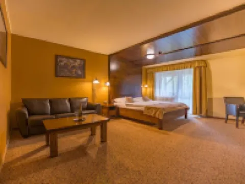 Aplend Wellness Hotel Borovica Hotels in Strbske Pleso