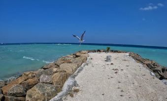 Rashuthere Maldives