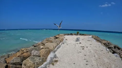 Rashuthere Maldives - Airport Shuttle