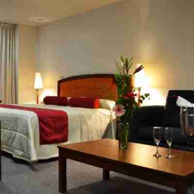Hotel Mediterraneo Sa de CV Rooms