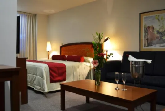 Hotel Mediterraneo Sa de CV Hotels in 