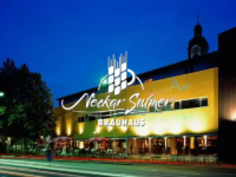 Brau Art Hotel ネッカーズルムのホテル