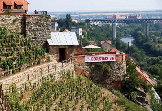 호텔 조식 뷔페