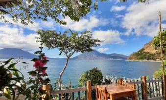 Hotel & Restaurante Arca de Noé