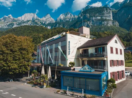 Hotel Seehof Superior Отели в г. Обстальден