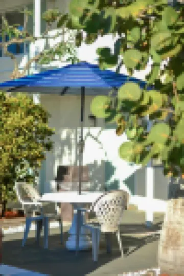 薩拉索塔麗晶套房酒店 鄰近The John and Mable Ringling Museum of Art的酒店