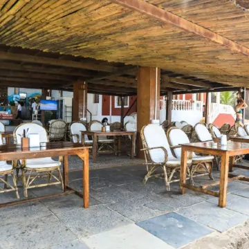 Woodpegger by the Beach, Mandrem