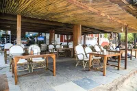 Woodpegger by the Beach, Mandrem