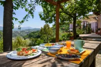 Albachiara Casa Di Campagna B&B Hotel a Trentinara