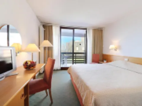 Hotel Vile Park Hotels in Piran